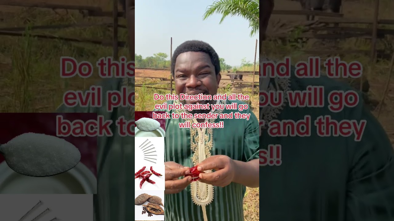 Spiritual and Health Benefits of Castor Seed Herb. Its Stop all evil plots against you
