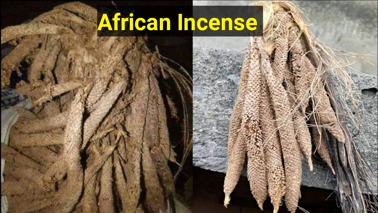 HOW SPIRITUAL TAMEAWU AND AFRICAN INCENSE (PALM INFLORESCENCE) WORKS WHEN BURNT TOGETHER