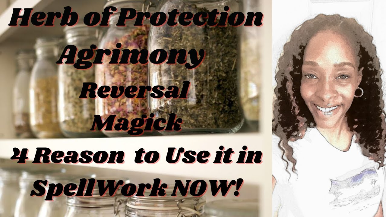 Herb Of Protection Agrimony Reversal Magick