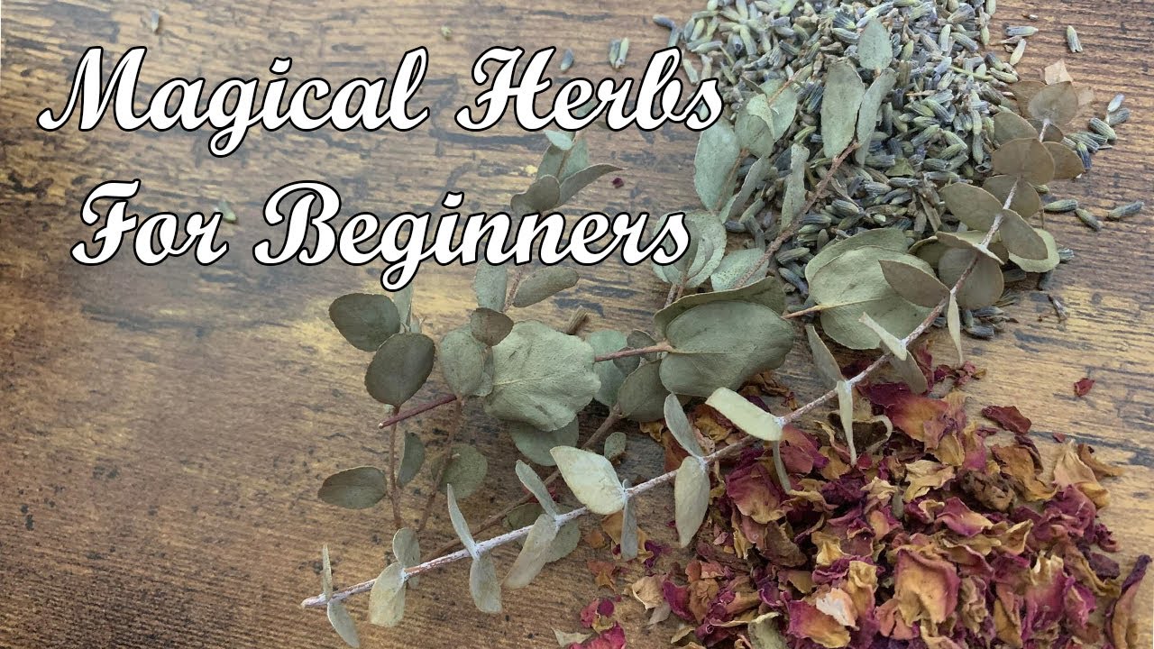 Money Drawing Herbs & Spices! Attract Wealth & Abundance!