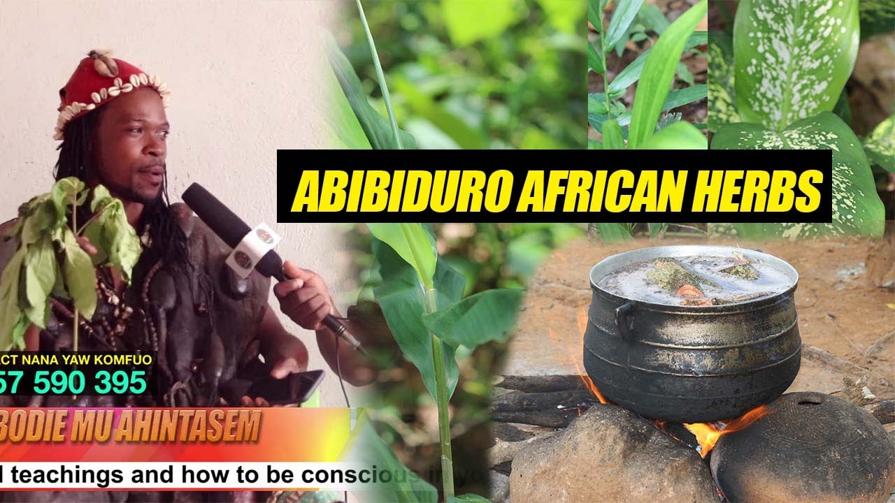 Spiritual and Physical uses of African Herb, Tobacco, Common Herbs surrounding our Homes – Dr. Sabi