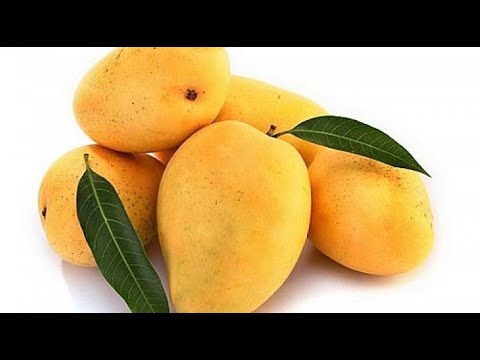Spiritual uses of Mango, other herbs and salt