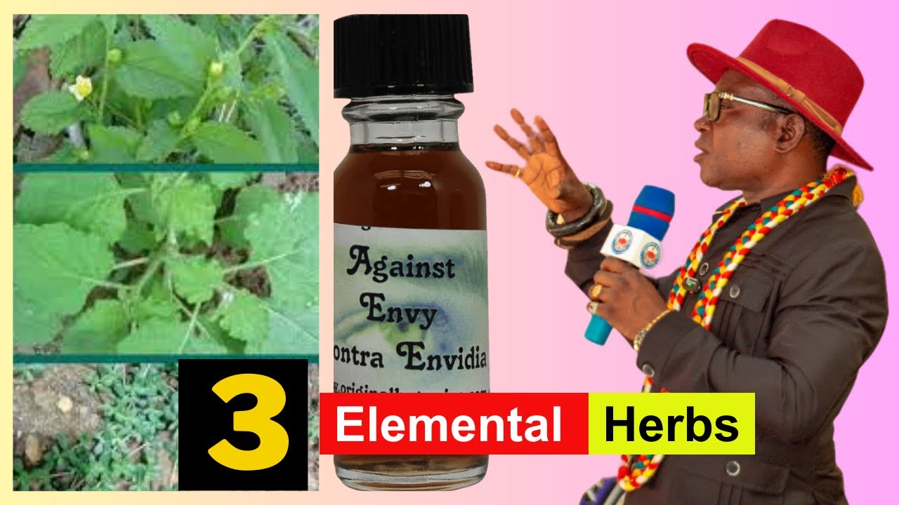5 Elemental Mystical Herbs For Total Protection – Jnana Caksus Das